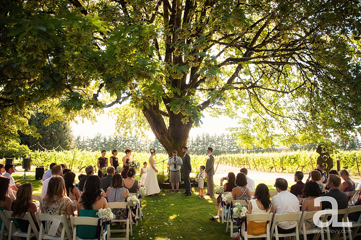 Ponzi-Vineyard-Wedding-Photography_0014.jpg