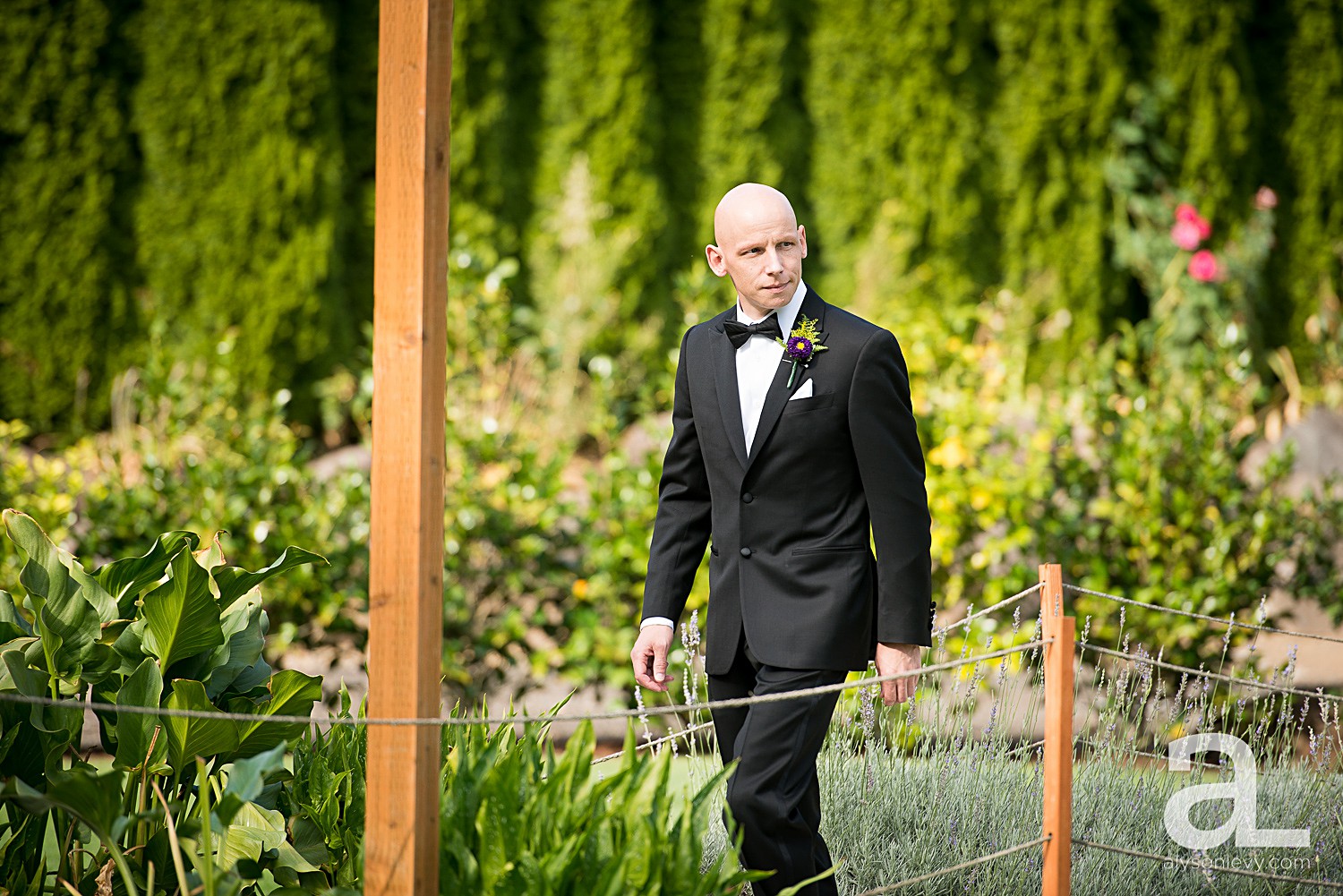 Cape-Horn-Estate-Wedding-Photography_0012.jpg