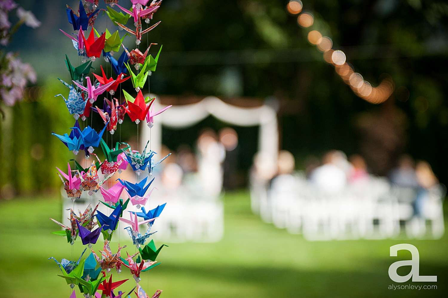 Cape-Horn-Estate-Wedding-Photography_0018.jpg
