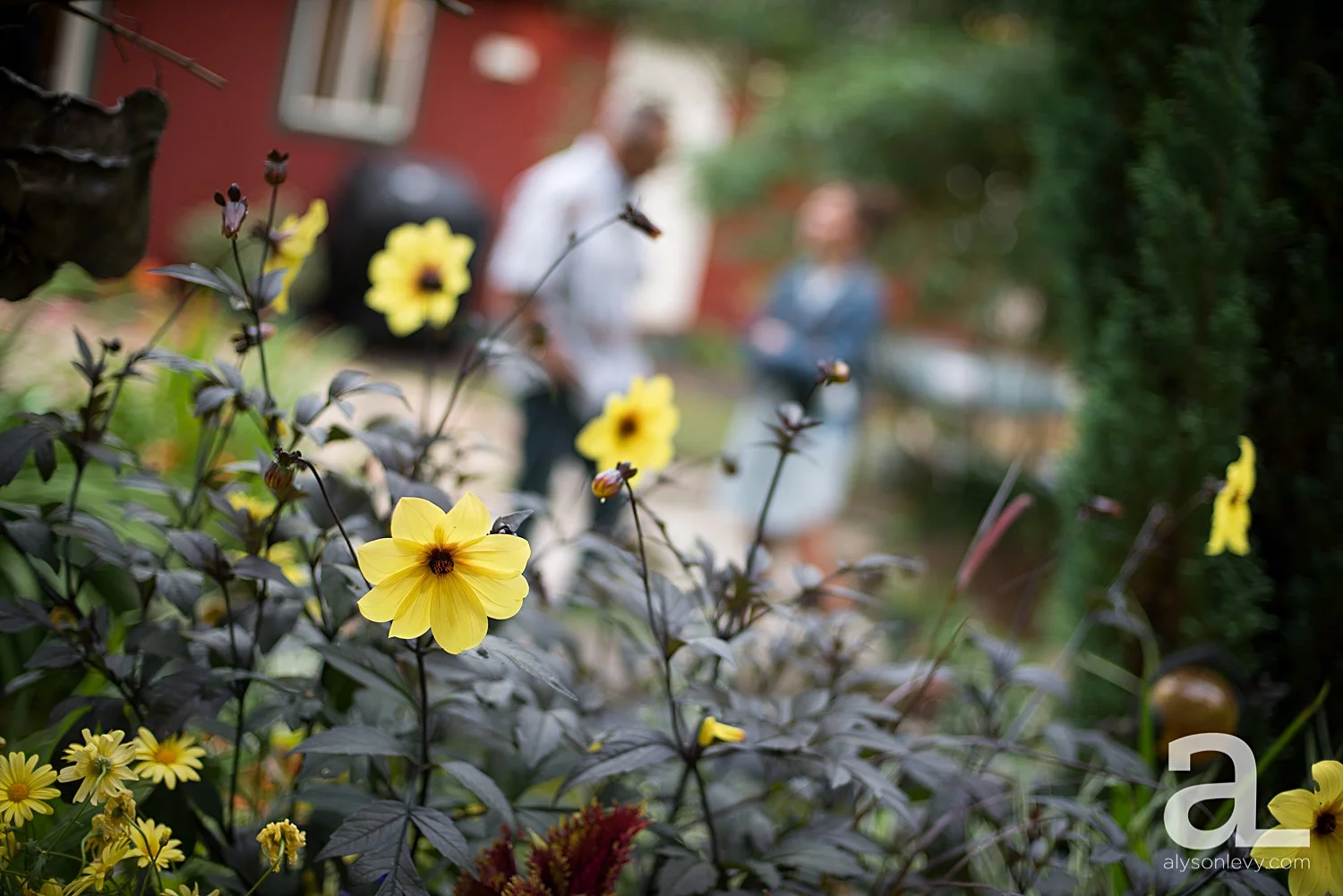 Backyard-Rehearsal-Dinner-Photography_0011.jpg