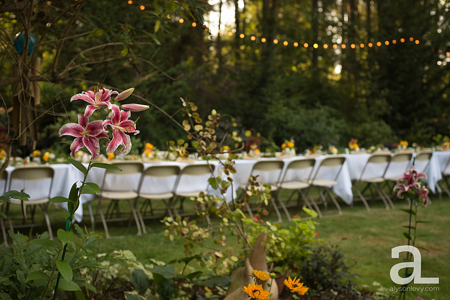 Backyard-Rehearsal-Dinner-Photography_0012.jpg