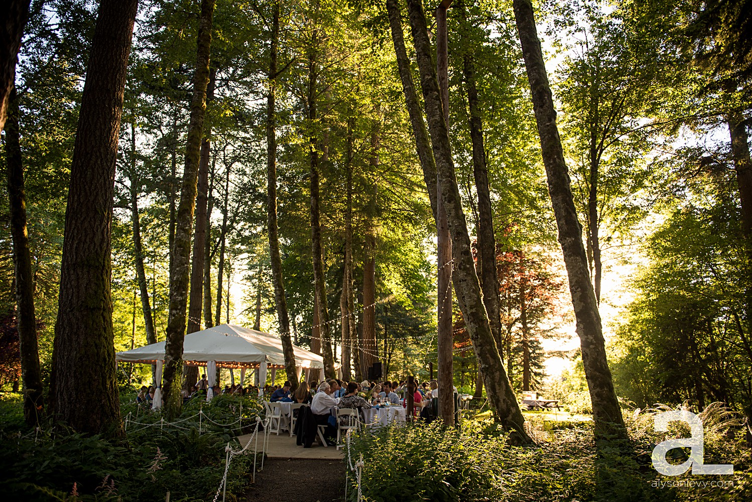 Bridal-Veil-Lakes-Wedding-Photography_0058.jpg