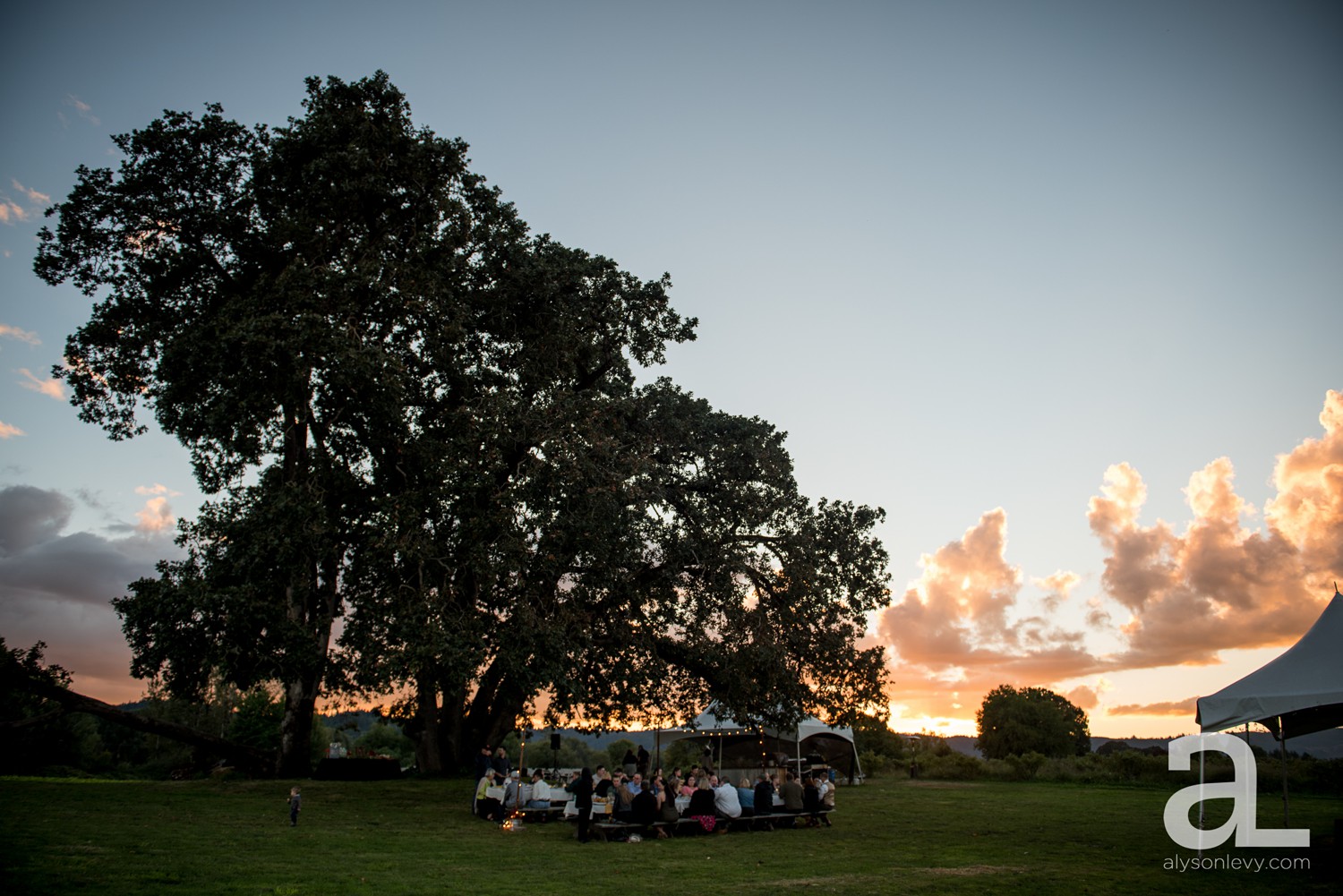 Sauvie-Island-Wedding-Photography_0058.jpg