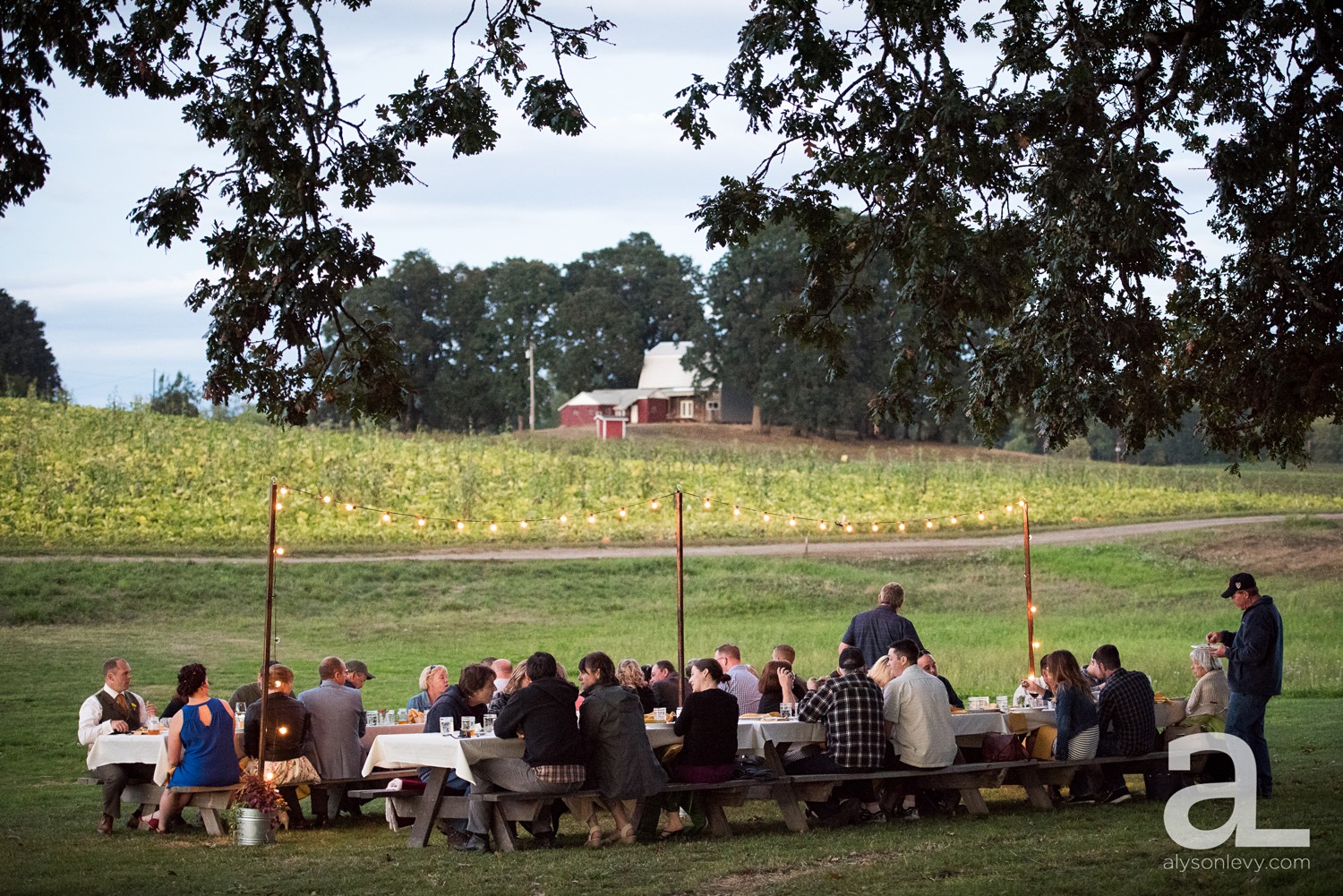 Sauvie-Island-Wedding-Photography_0072.jpg
