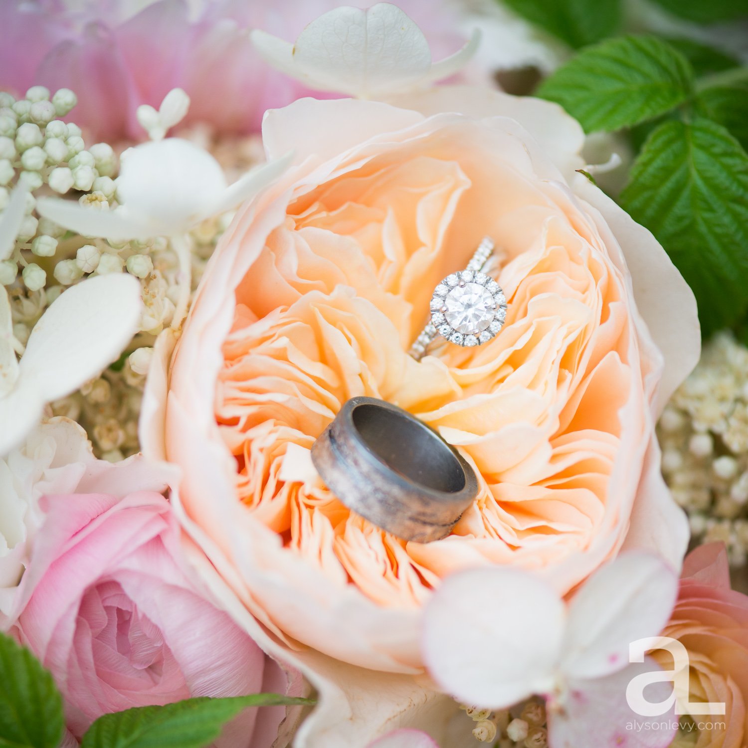 Ryan + Jordan Wedding Balance