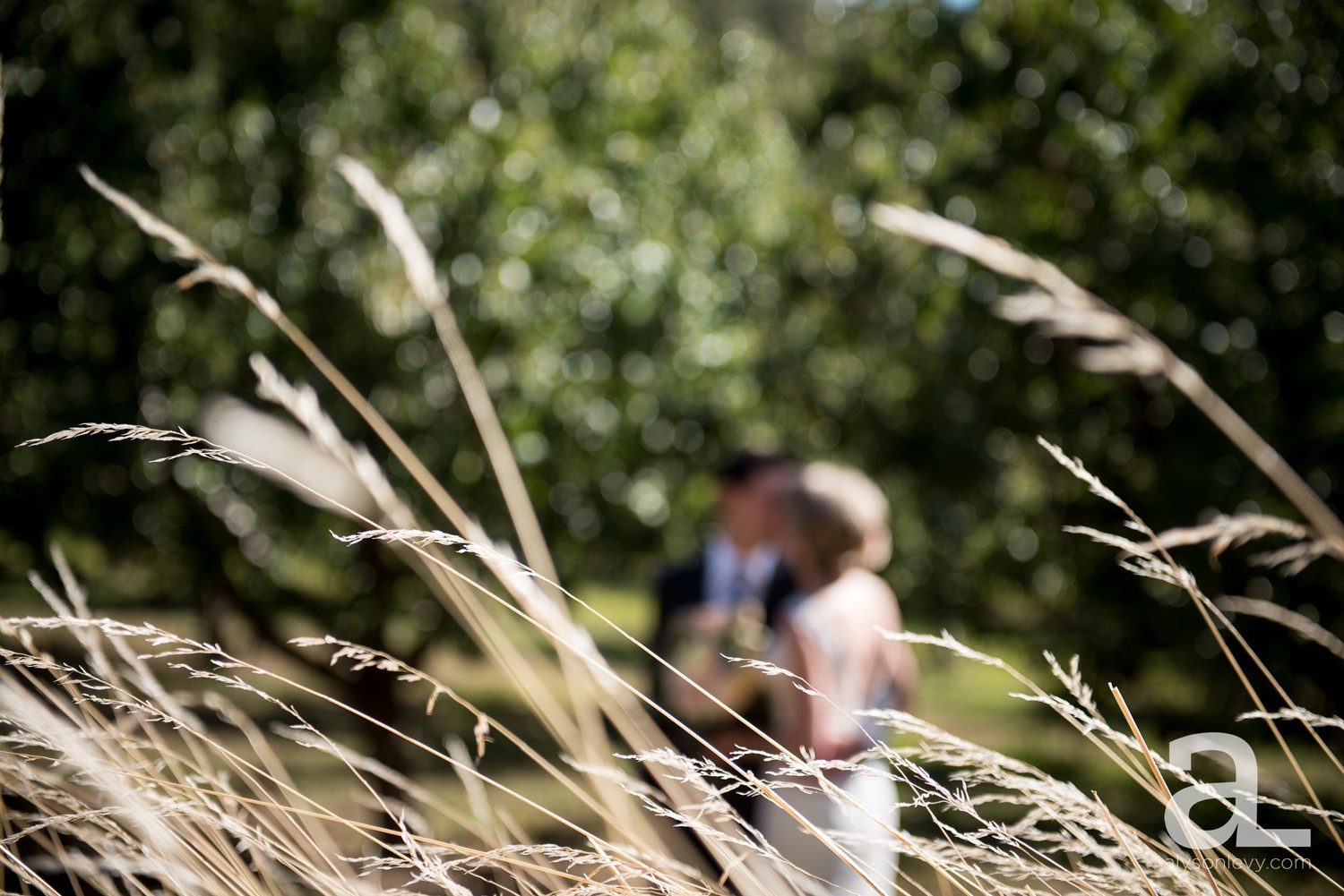 Crag-Rat-Hut-Wedding-Photography_0012.jpg