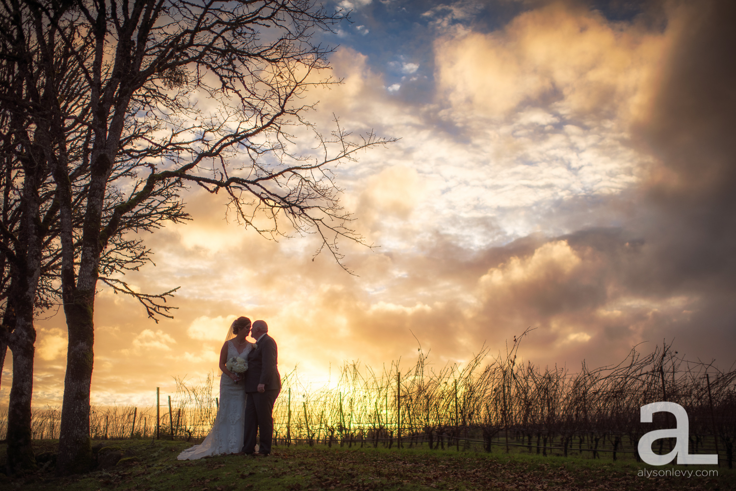 Zenith-Vineyard-Wedding-Sunset-001.jpg