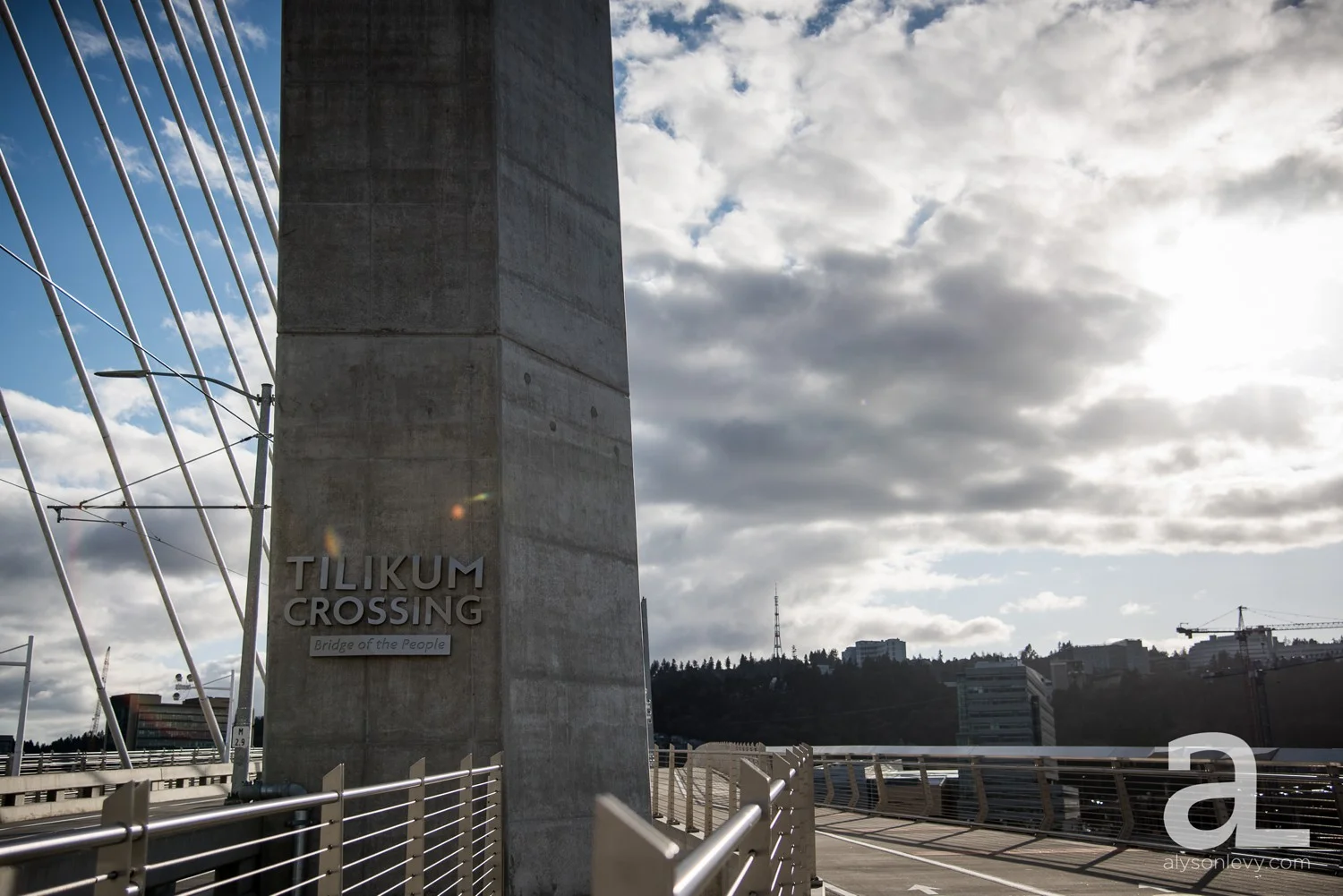 Portland-Tilikum-Bridge-Proposal-Engagement-Photography_0001.jpg