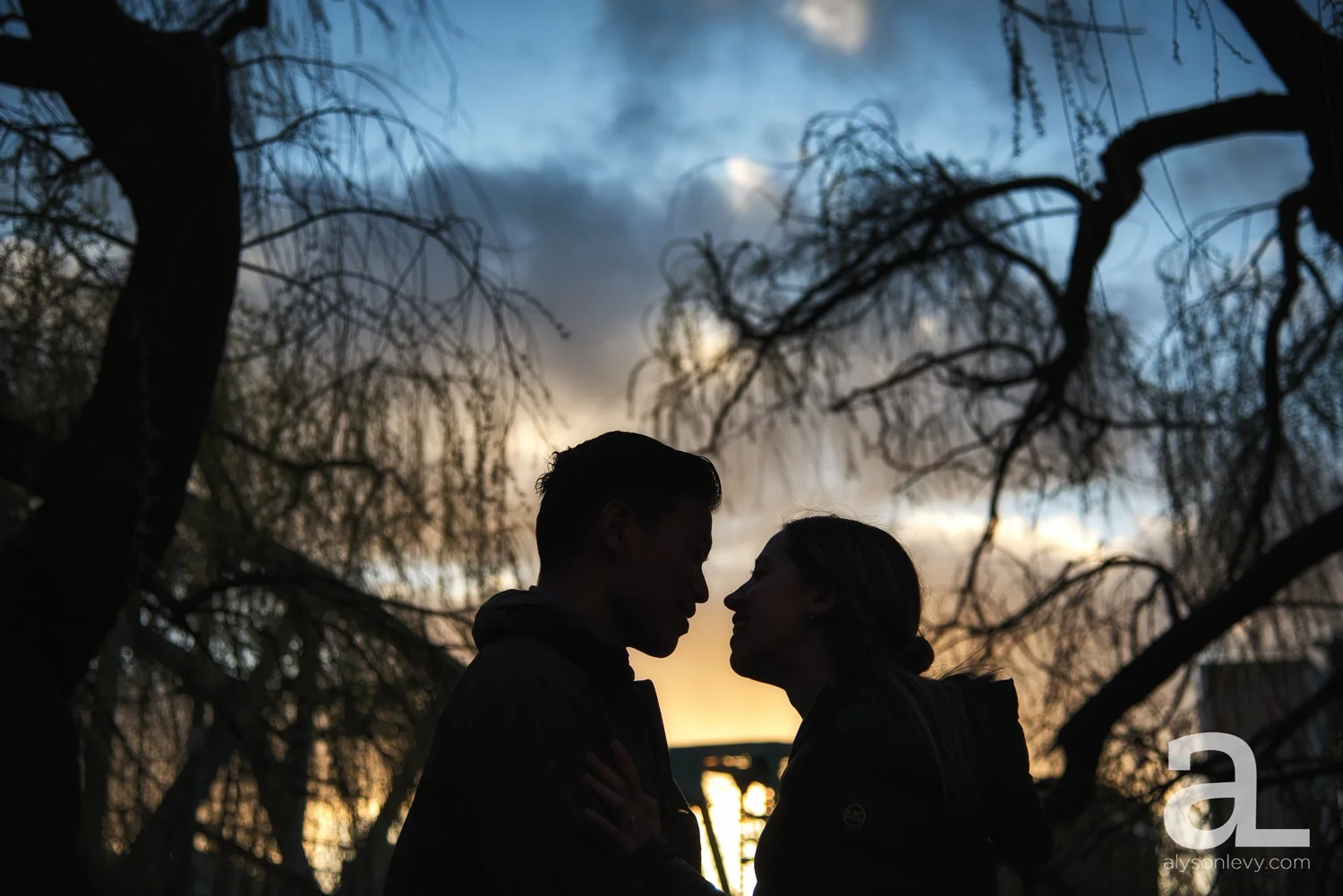 Portland-Tilikum-Bridge-Proposal-Engagement-Photography_0017.jpg