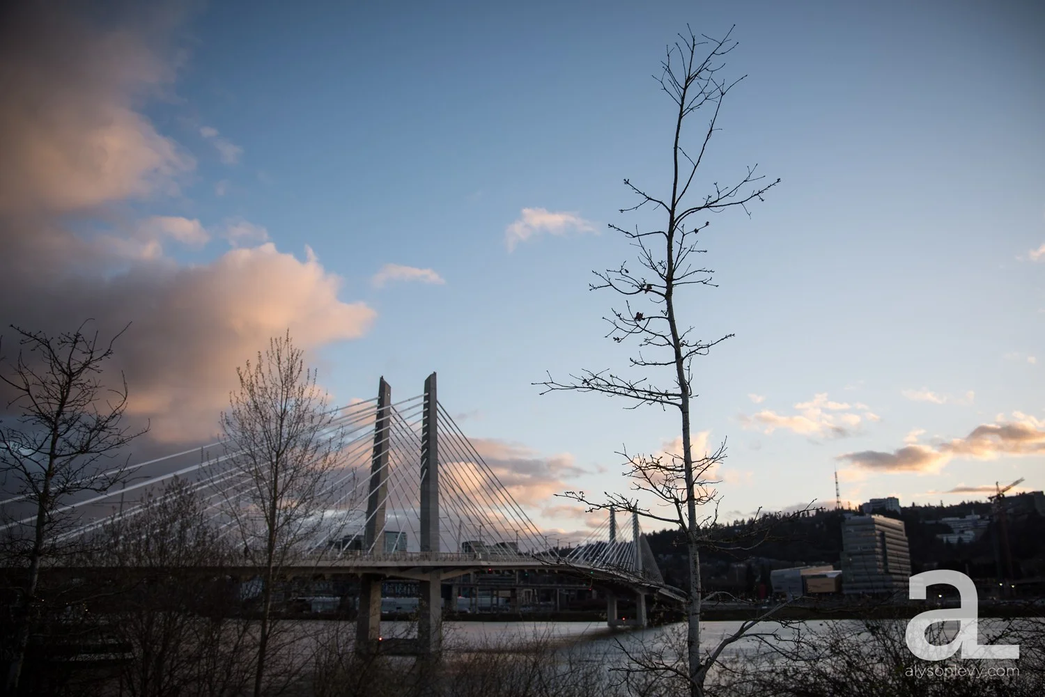 Portland-Tilikum-Bridge-Proposal-Engagement-Photography_0019.jpg