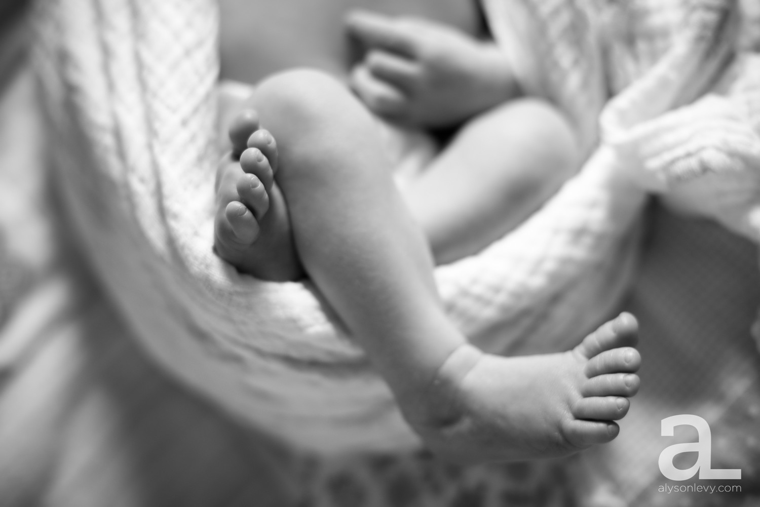 Portland-Newborn-Family-Photography-Maddie_0008.jpg