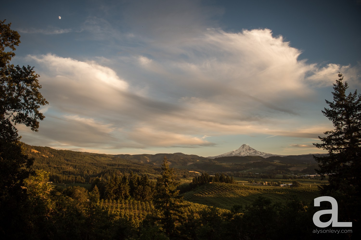 Mt-Hood-Oregon-Wedding-Photography-Crag-Rat-Hut-Hood-River_0100.jpg