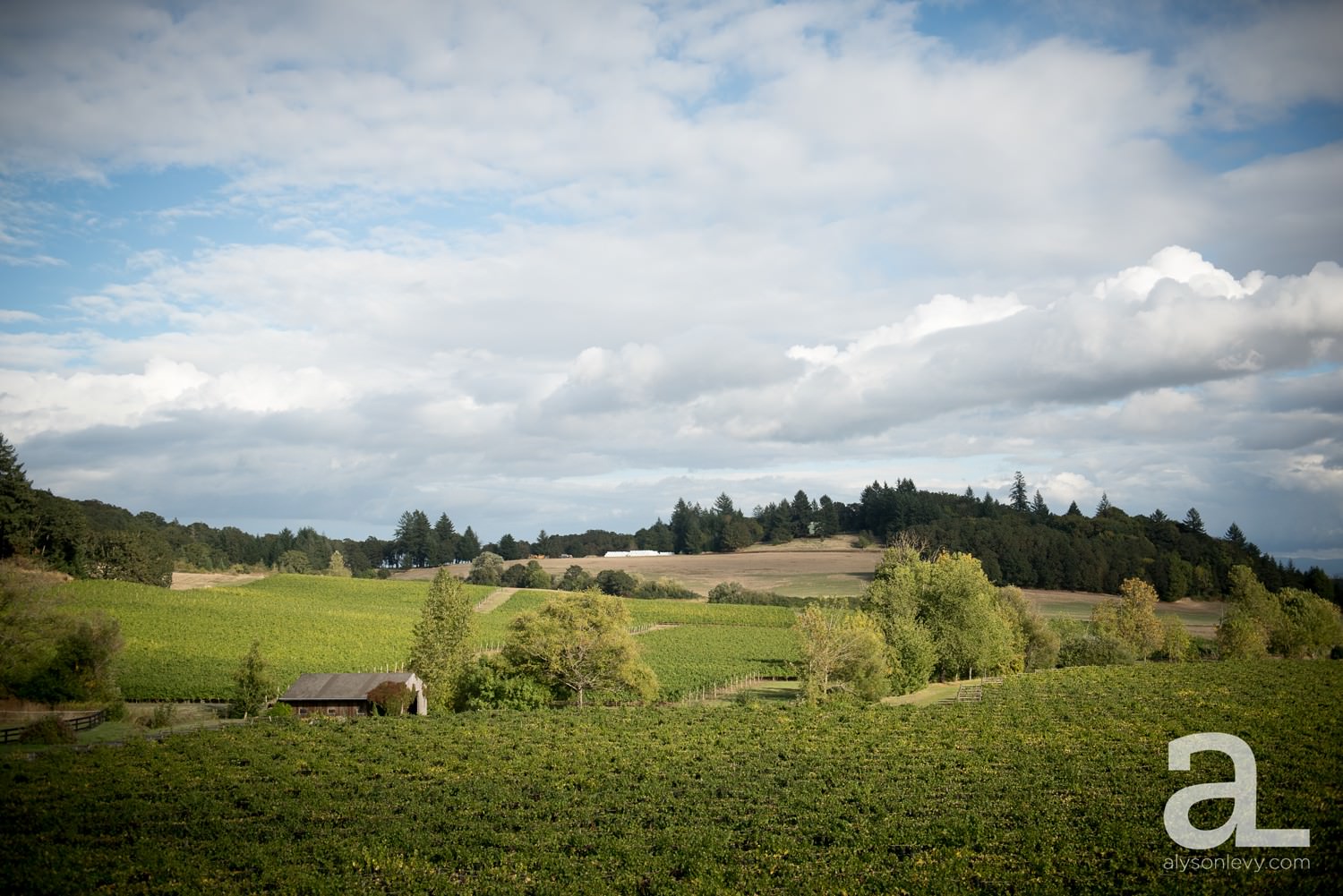 Zenith-Vineyards-Salem-Oregon-Wedding-Photography_0032.jpg