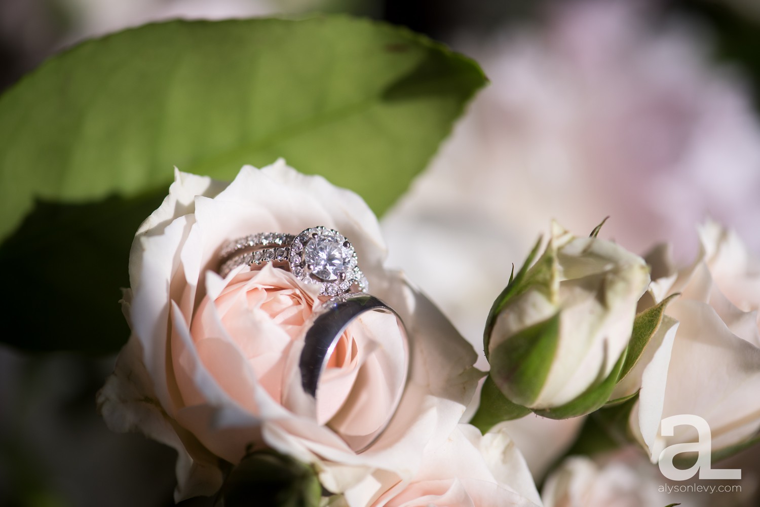 Portland-Oregon-Wedding-Photography-PortlandSpirit-Waterfront_0076.jpg