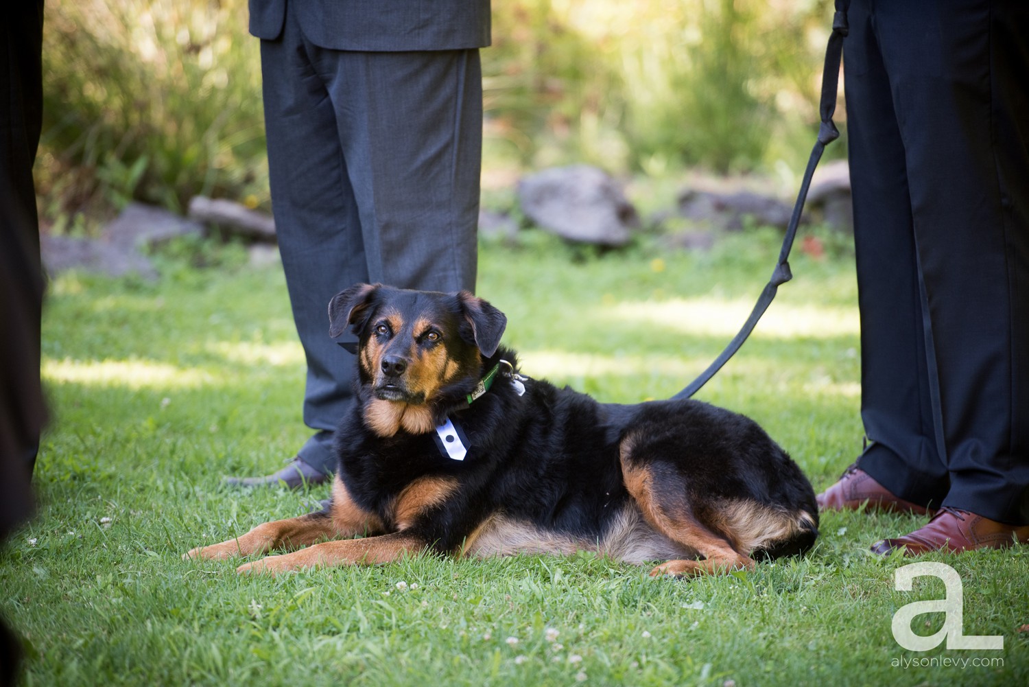 Camp-Angelos-Columbia-River-Gorge-Wedding-Photography_0053.jpg
