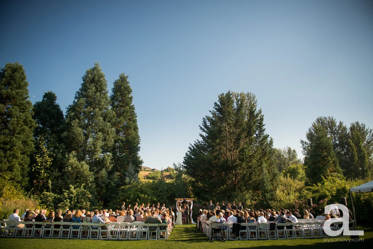 Portland-Wedding-Photography-Blackberry-Hall-Meadow_0039.jpg