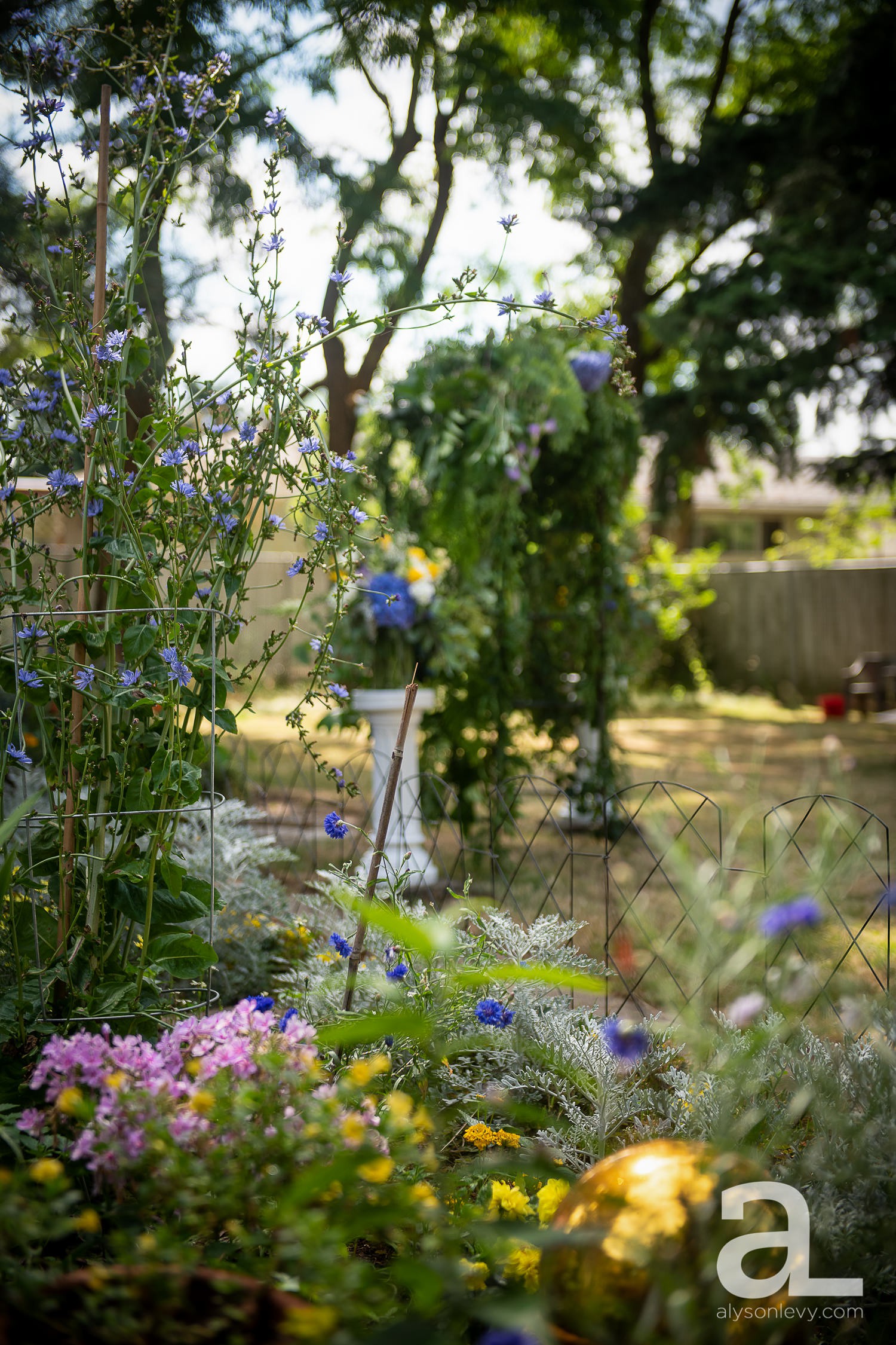 Portland-Backyard-Gay-Wedding-Photography_0002.jpg