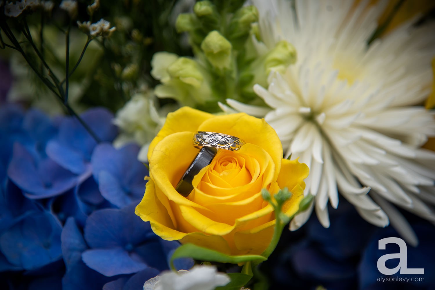 Portland-Backyard-Gay-Wedding-Photography_0130.jpg