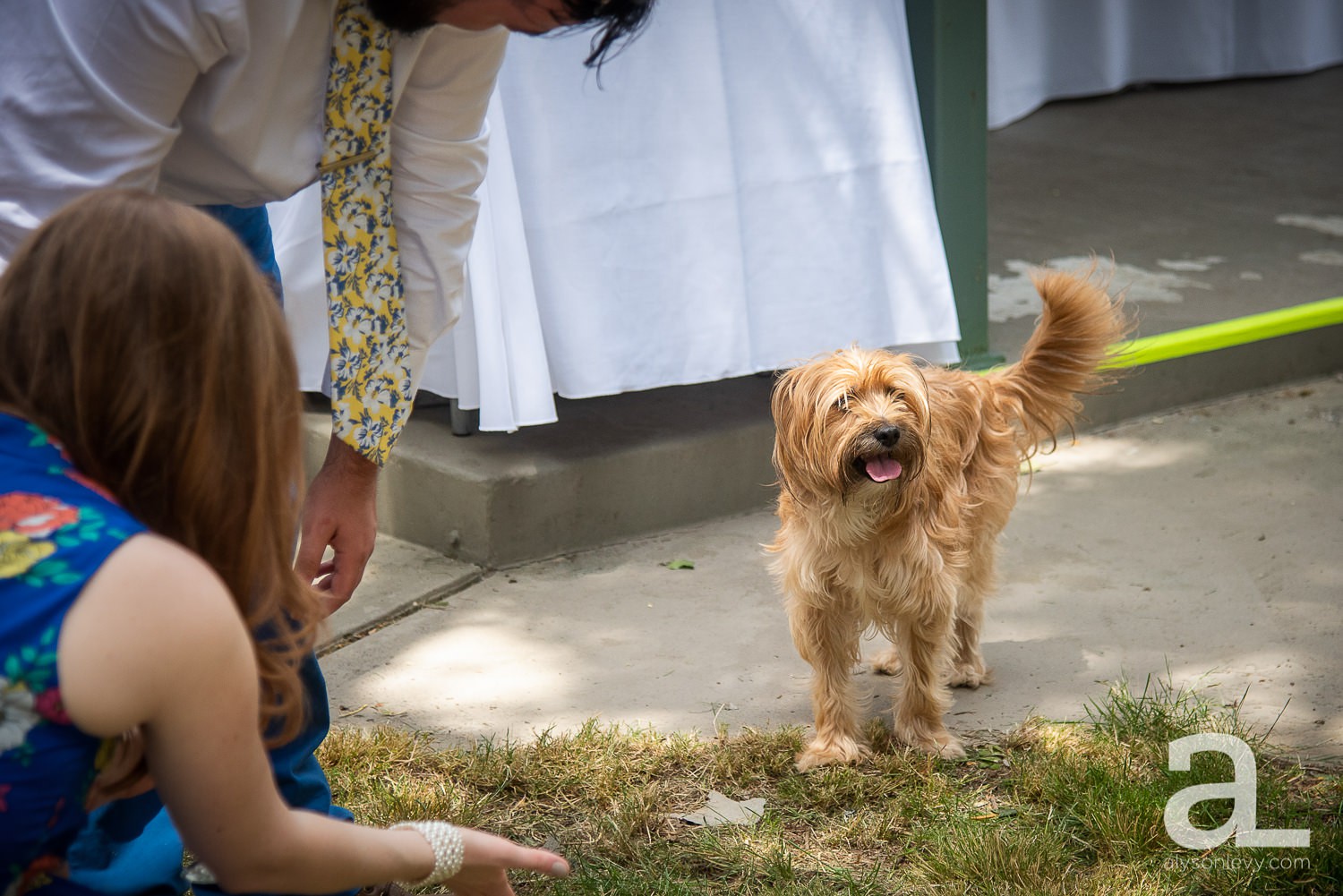 Portland-Backyard-Gay-Wedding-Photography_0149.jpg