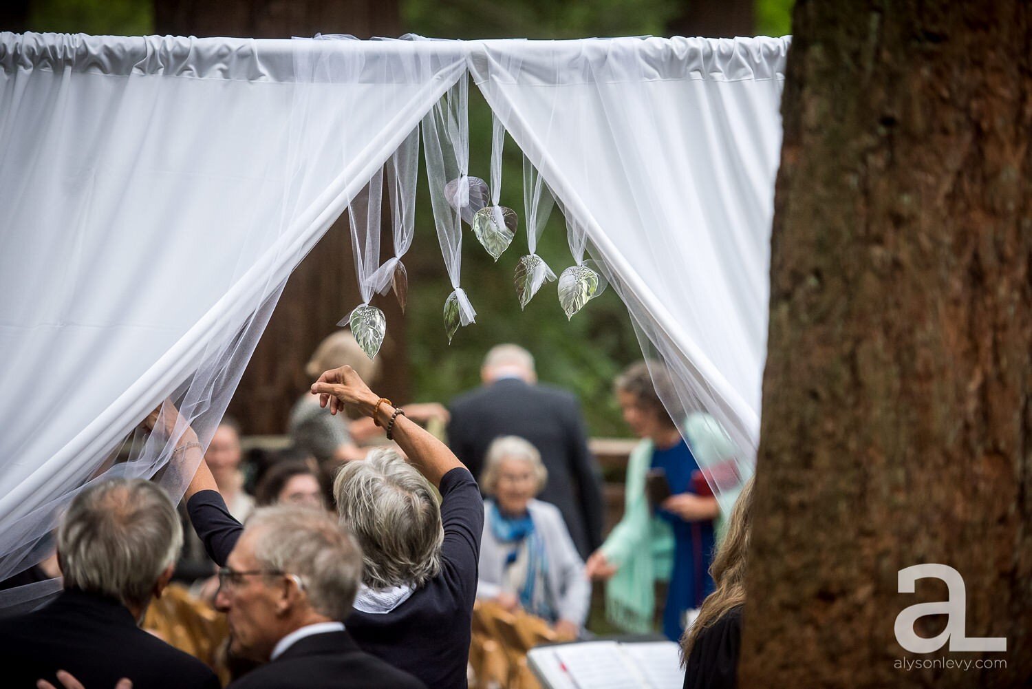 Portland-Hoyt-Arboretum-Backyard-Wedding-Photography_0006.jpg