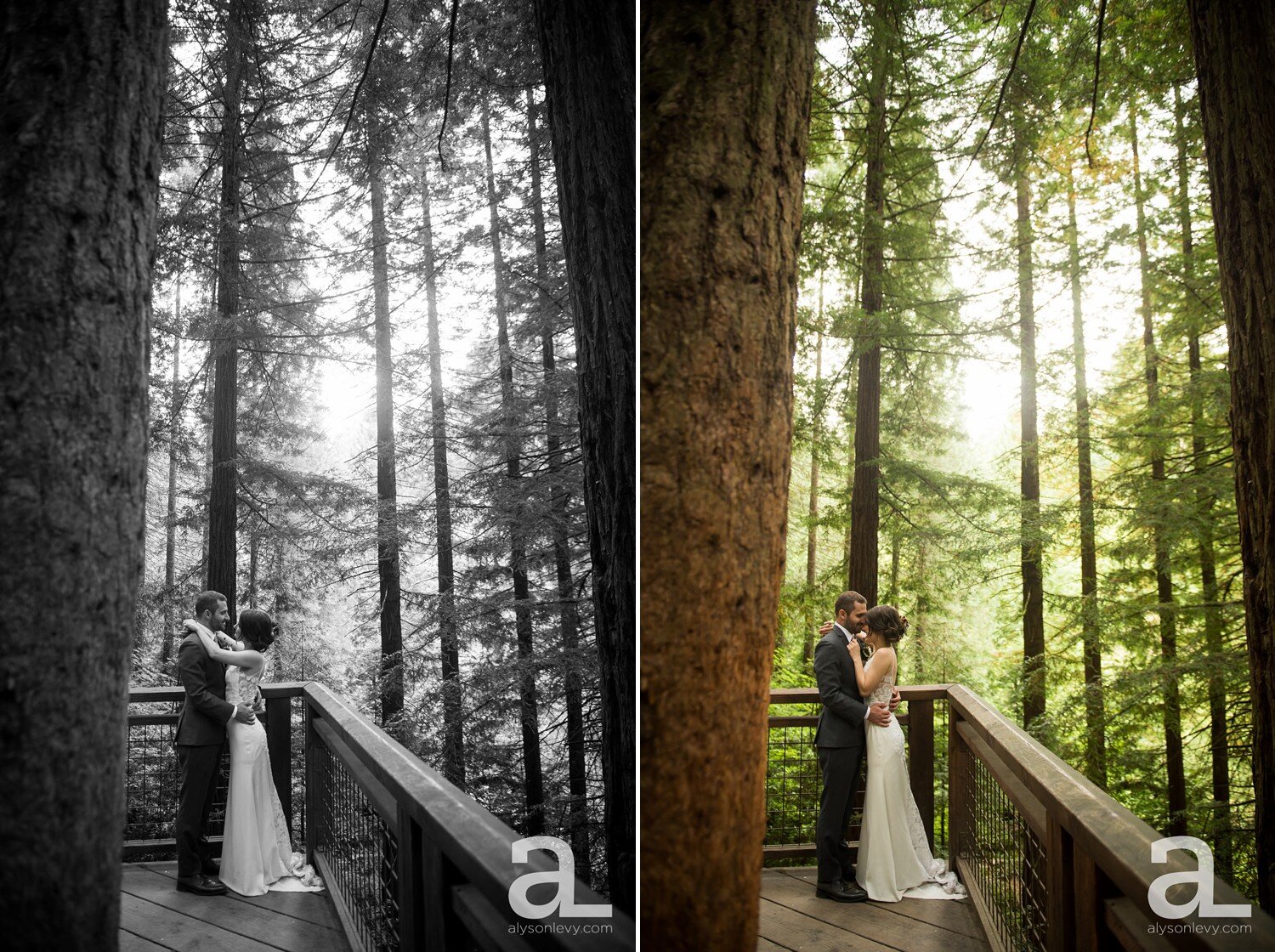 Portland-Hoyt-Arboretum-Backyard-Wedding-Photography_0095.jpg