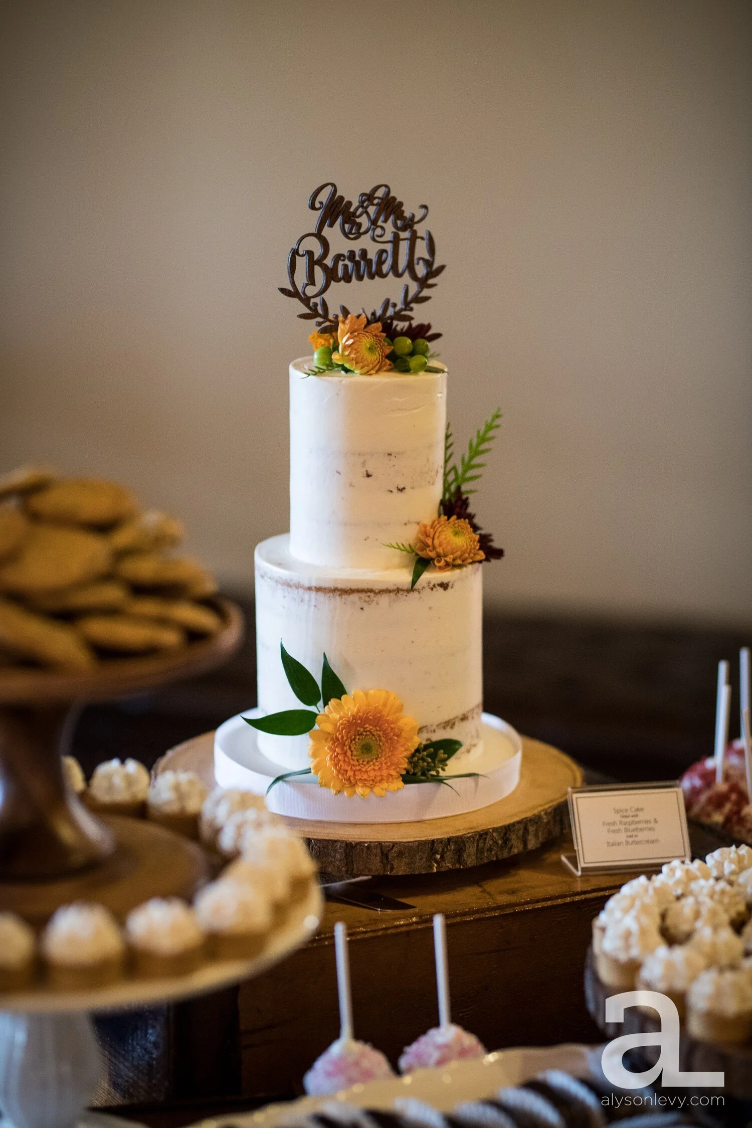 Zenith-Vineyard-Salem-Wedding-Photography_0141.jpg