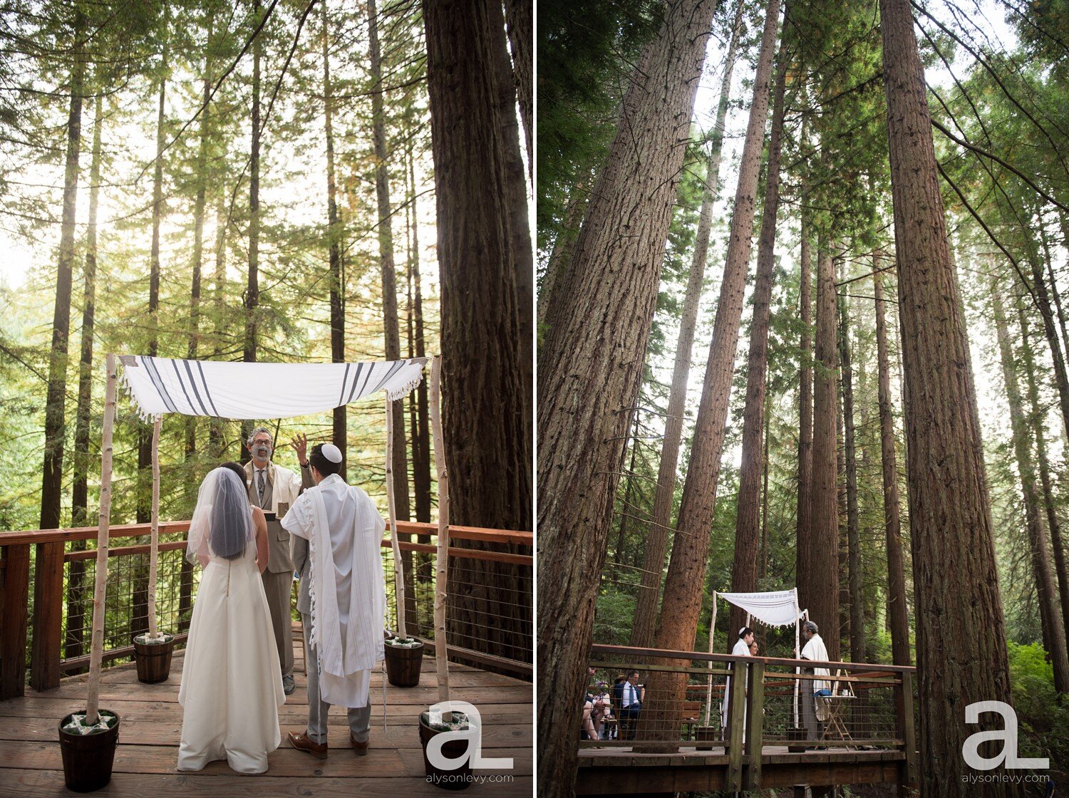 Hoyt-Arboretum-Wedding-Photography-Elopement_0014.jpg