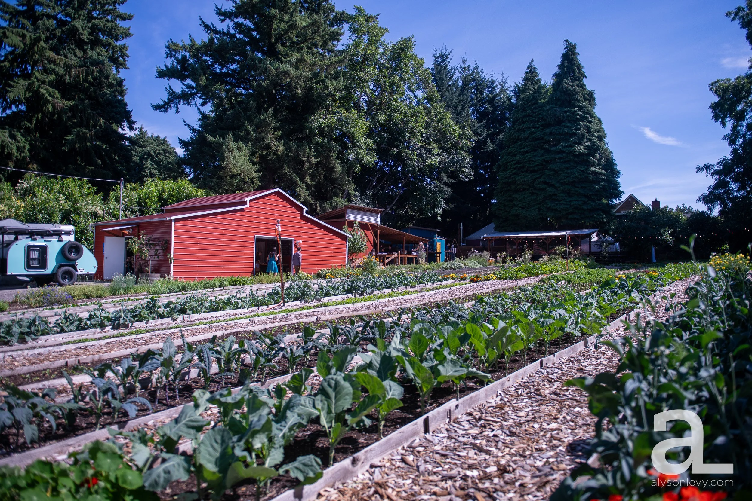 SideYardFarmCullyEvent003web.jpg