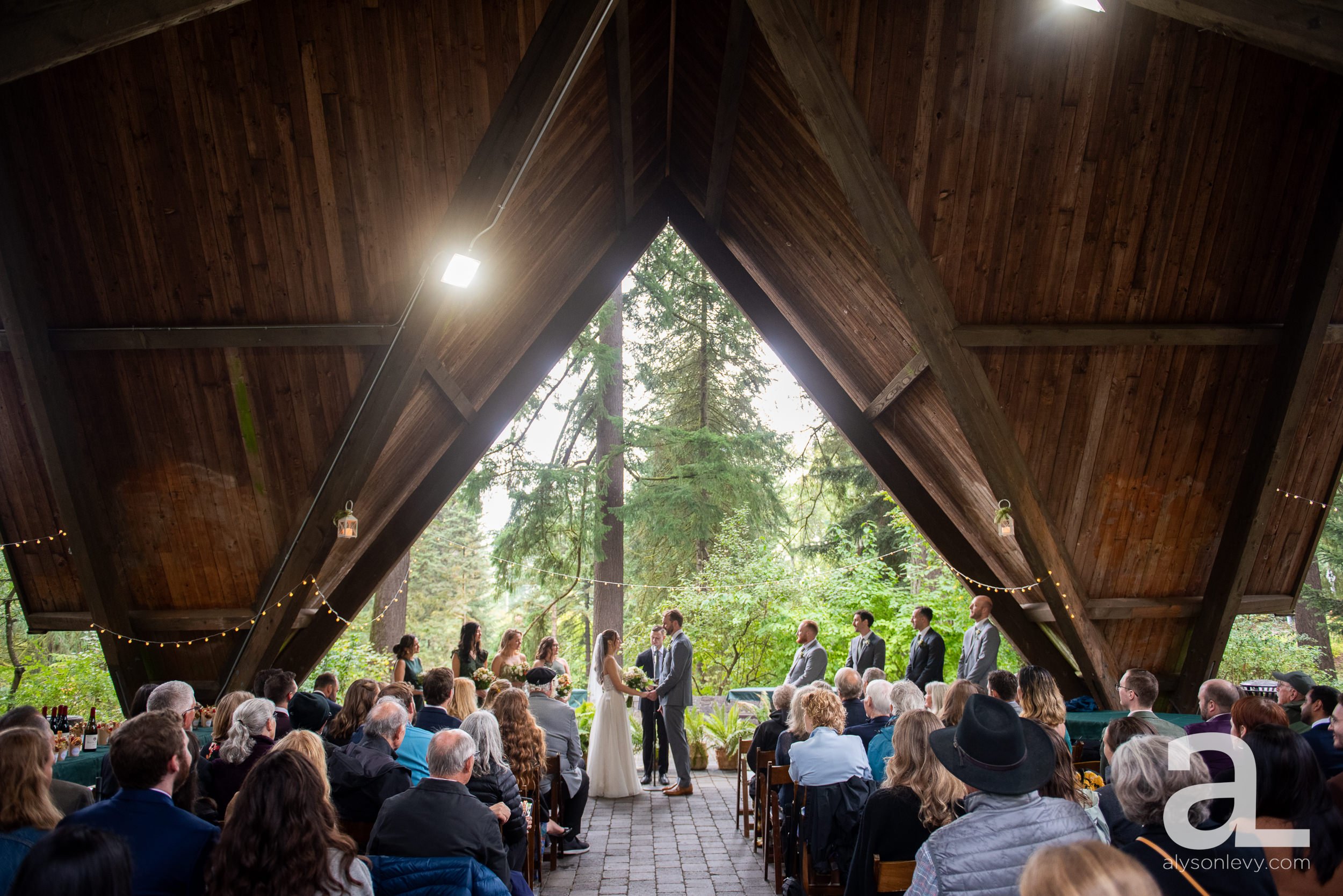 Cheyne + Alyssa's Wedding Album