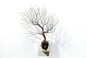 銅樹 之十五  Socket Tree XV