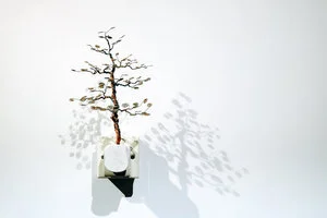 銅樹 之十七  Socket Tree XVII