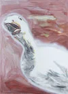 鵝 A Goose
