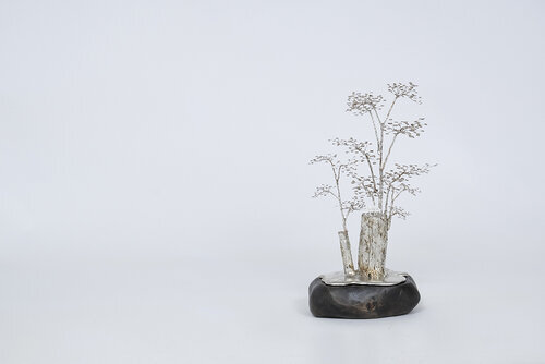 露の花 Dewflower V