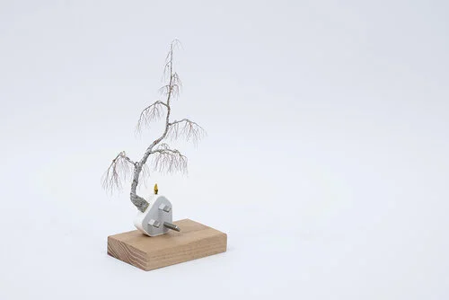 大樹底下好遮蔭? A Tree Protects?(Raincoat Man)