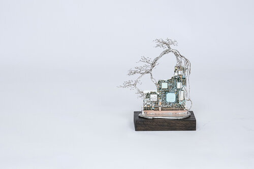露の花 Dewflower IV