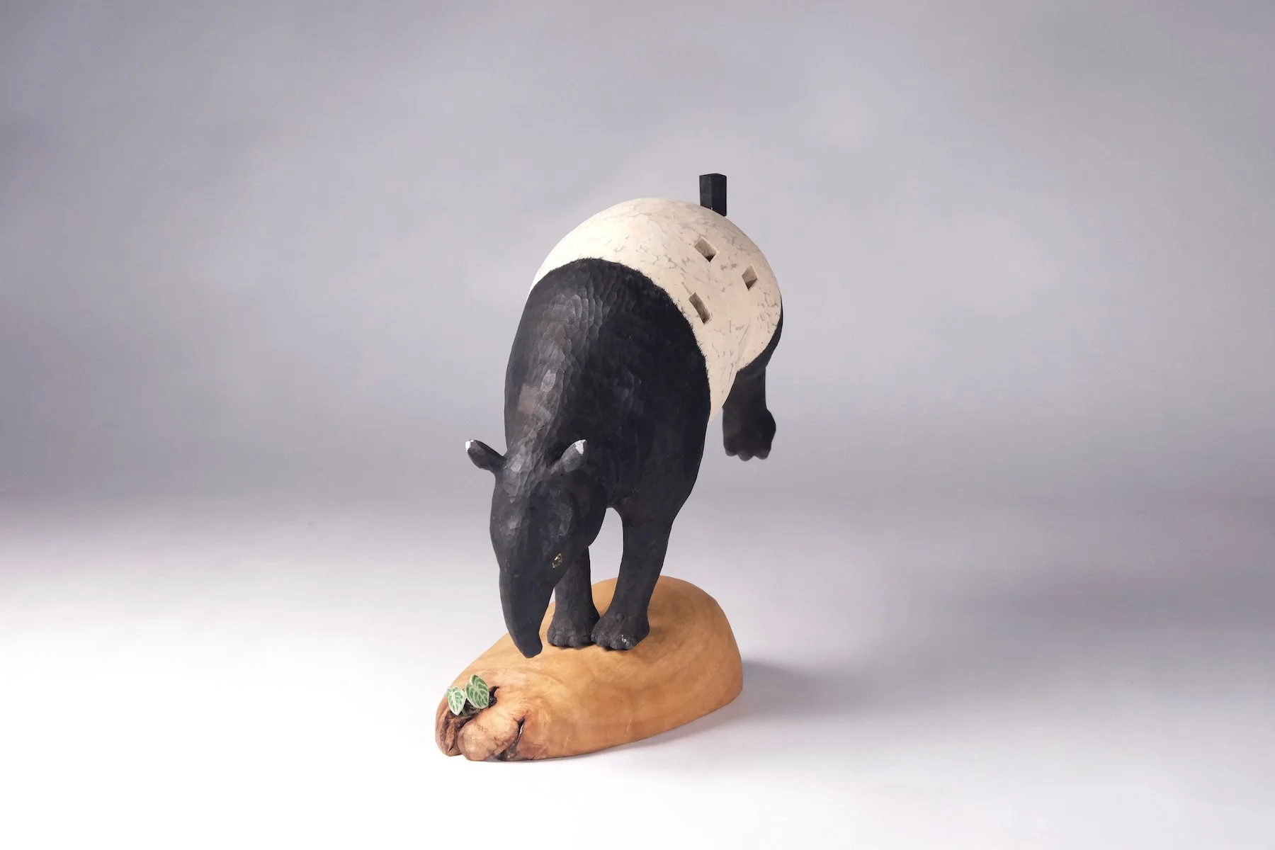 s陋室修補中 (1).JPG