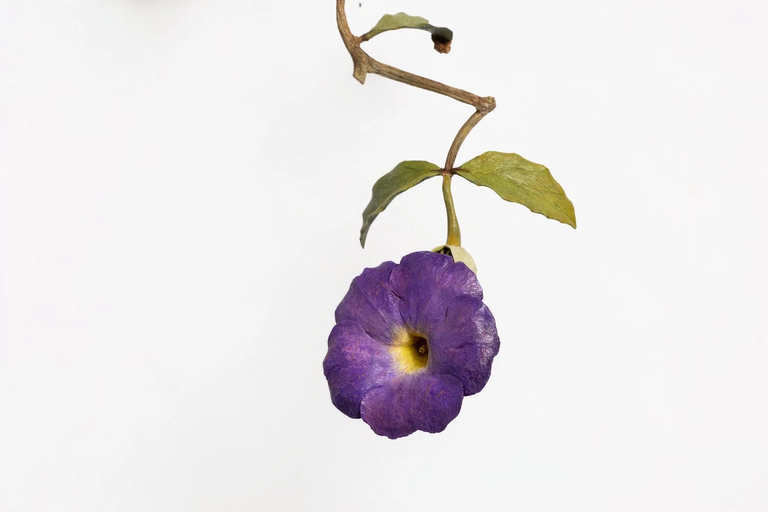 106A4780.jpg