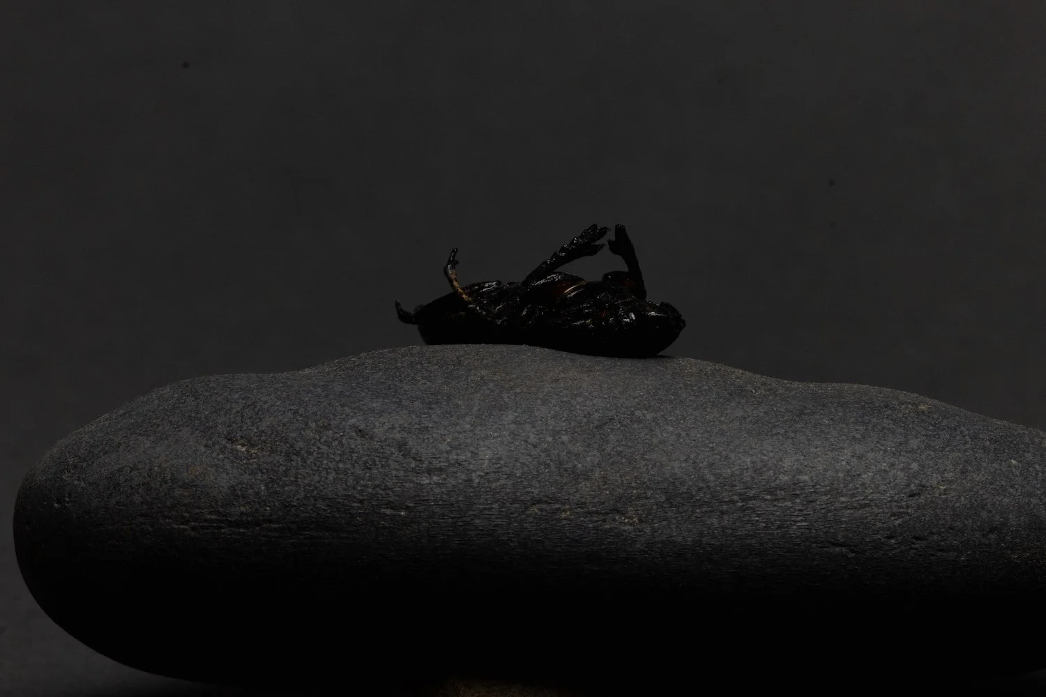106A3842.jpg