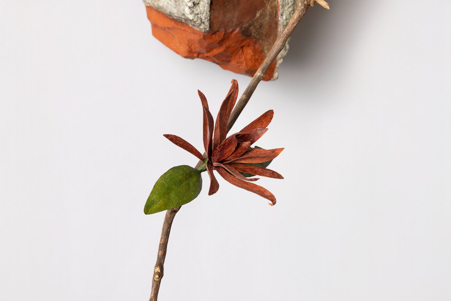 106A4966.jpg