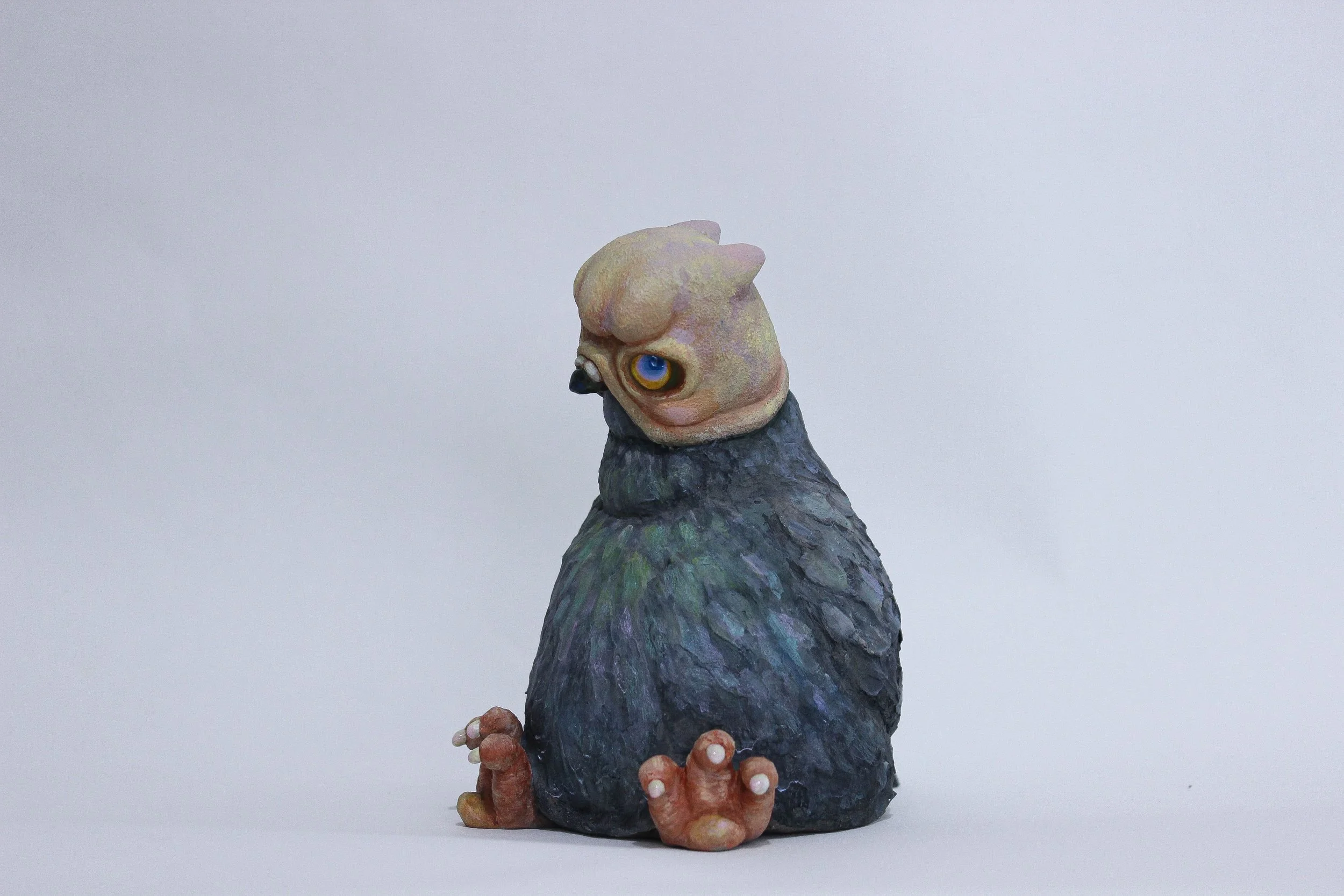 朱媛汝 Chu Yang Zu   鴿子