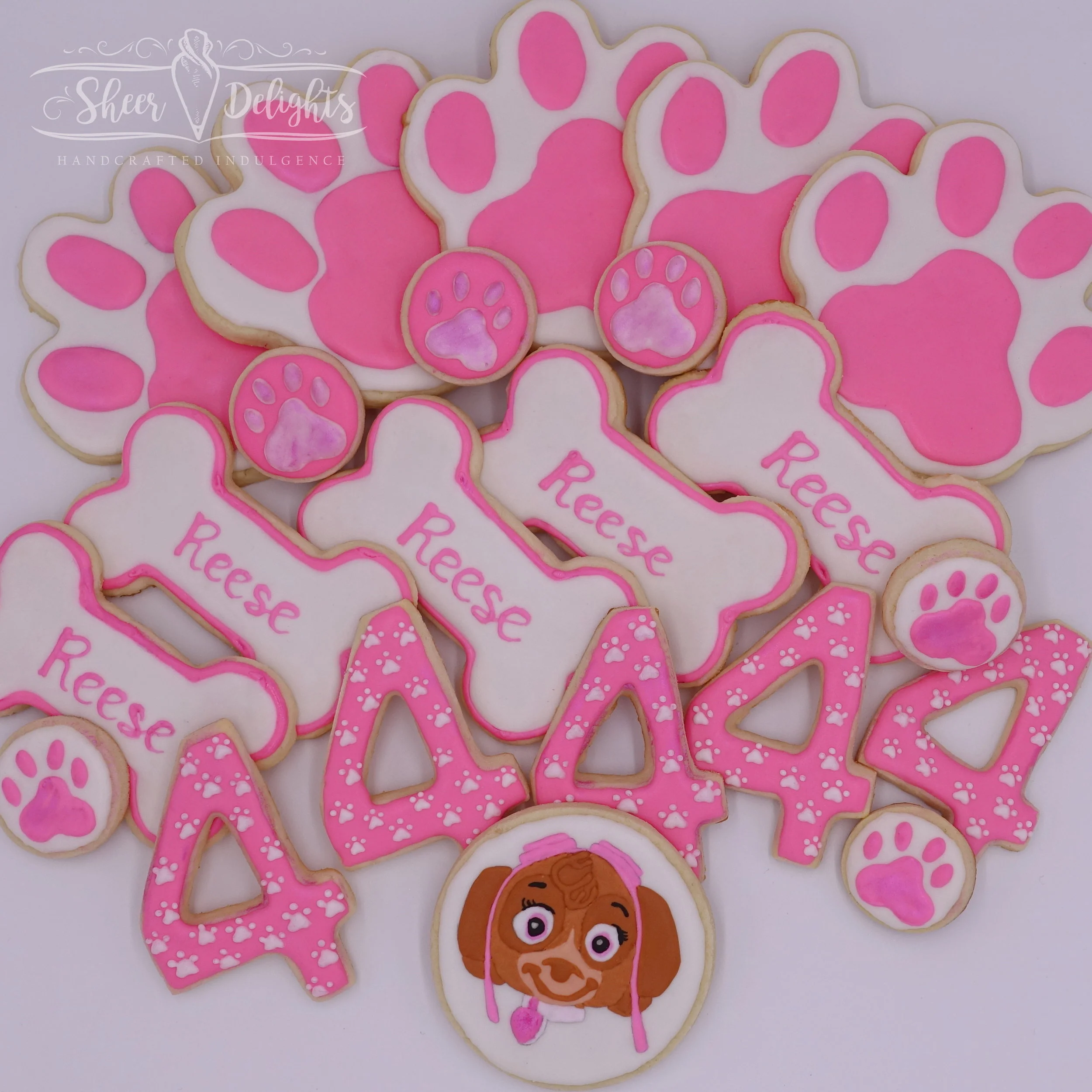 Paw Patrol_Skye wLogo (3).JPG