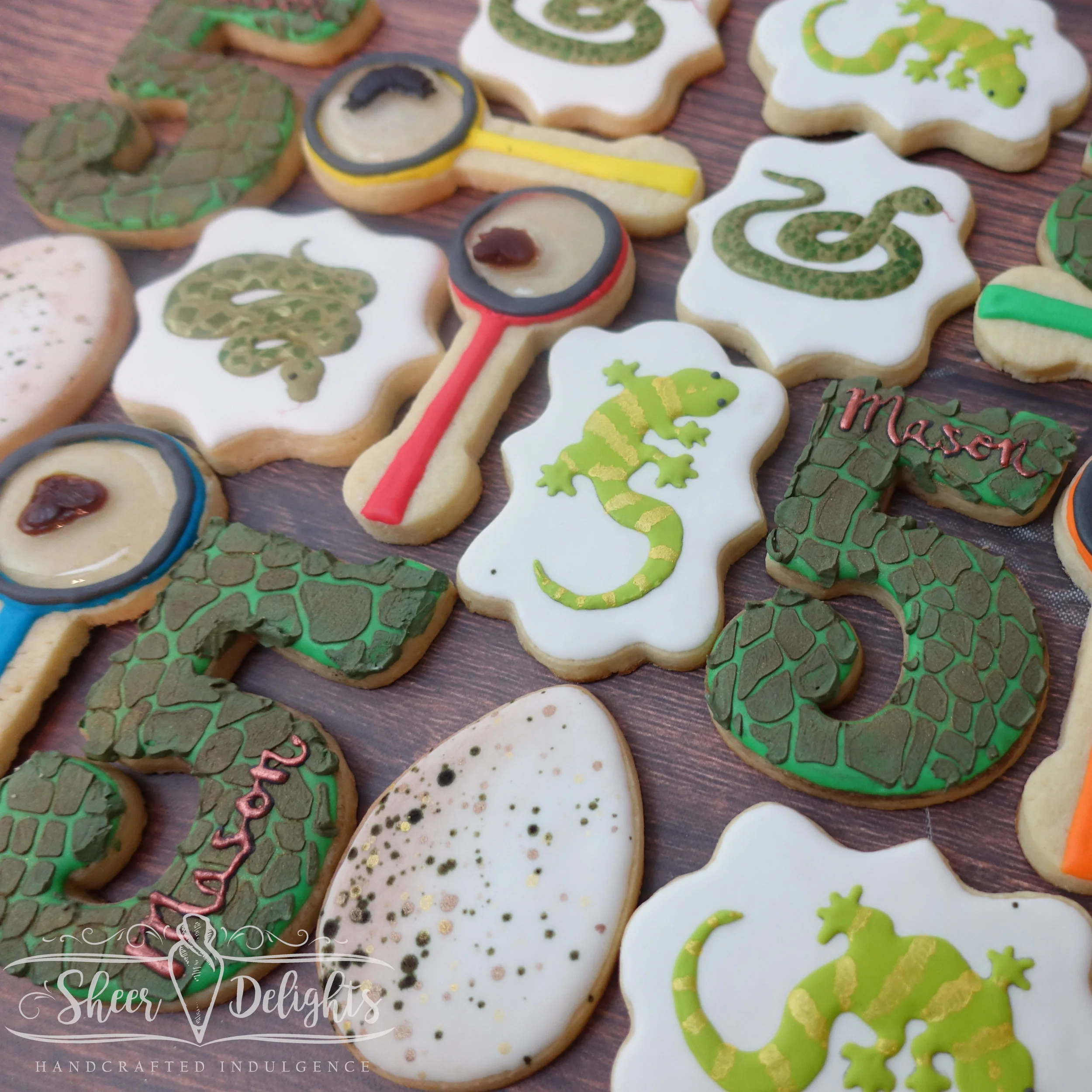 Reptile Explorer Birthday Cookies