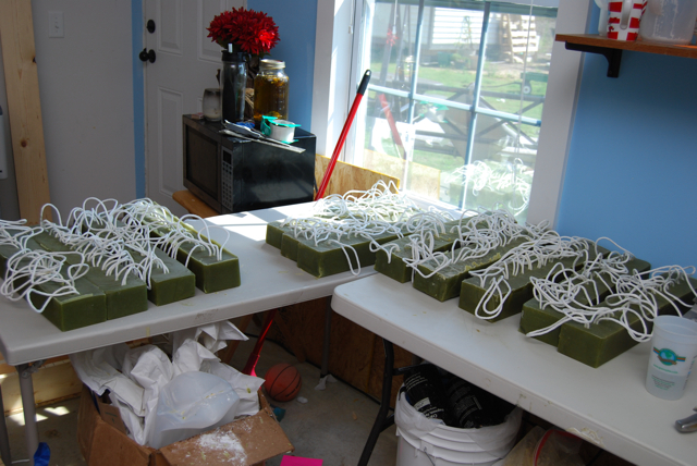 logs of green soap.jpg