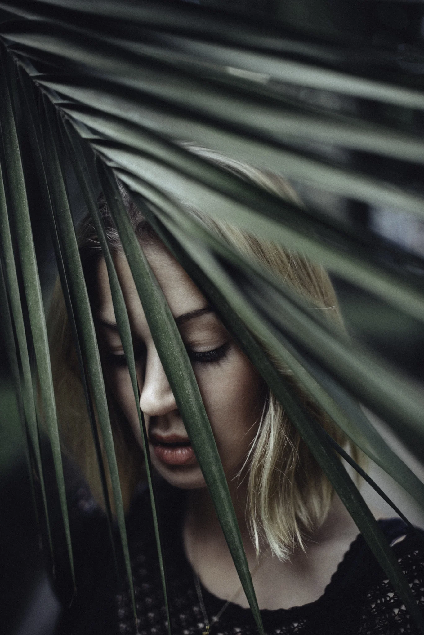 stock-photo-150940873.jpg