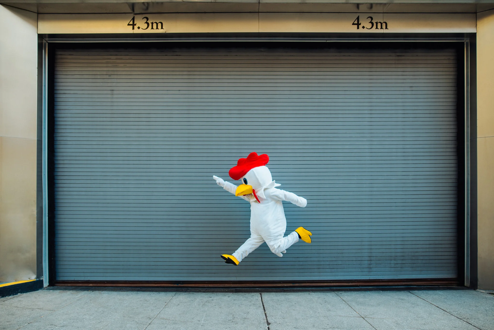 stock-photo-123520677.jpg