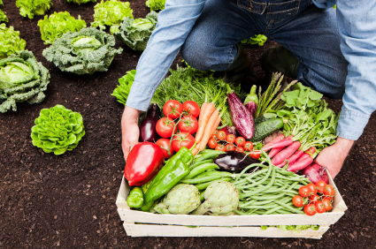 Farm to Table Ingredients