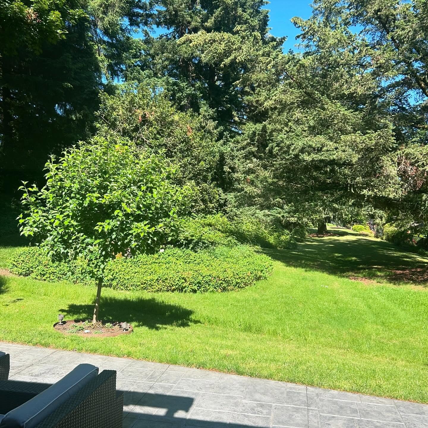 A Reflection on 2024

I have a practice each year that I love. It&rsquo;s not so much of a New Year&rsquo;s resolution but a &ldquo;word&rdquo; for the year. I focus on that word throughout the year. I journal about it when I see it playing out in my