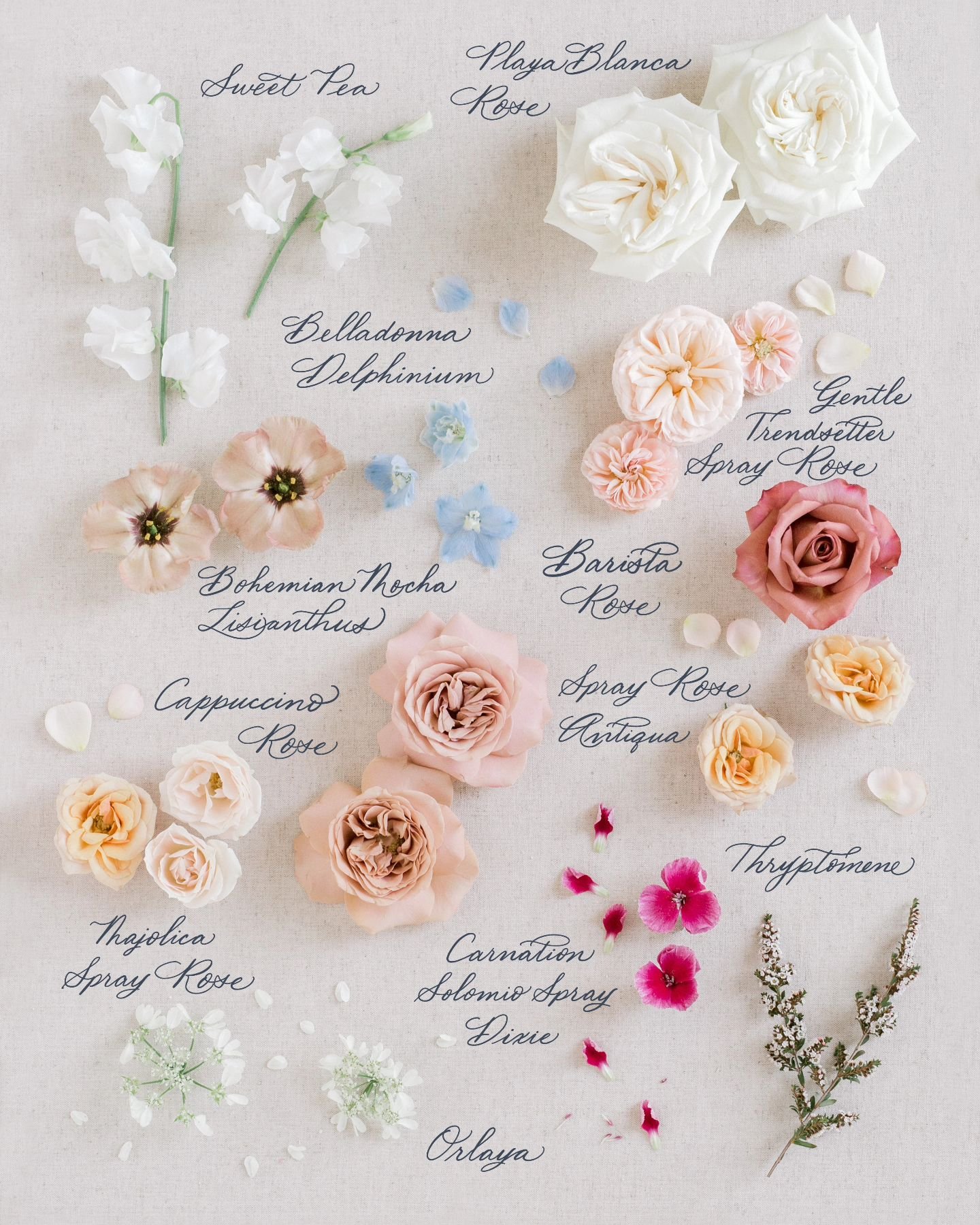 A bouquet preservation flat lay with @fallforflorals exclusively. A collaboration between the 3 of us where we  deconstruct and artfully arrange a bouquet into a few different flat lays, including a recipe of the flowers.

#yyccalligrapher #calgaryca