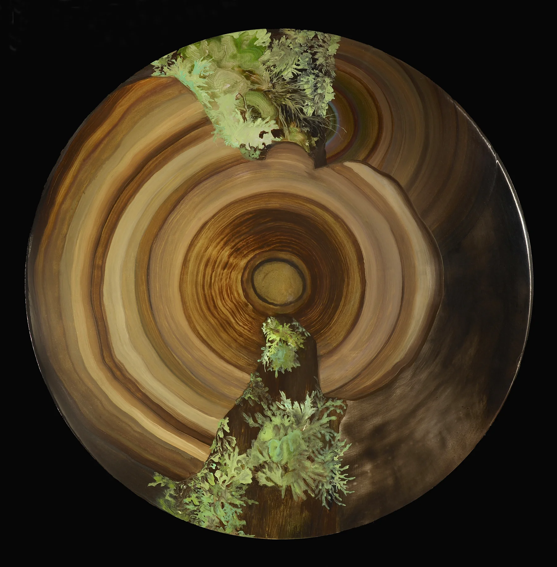 Whorl