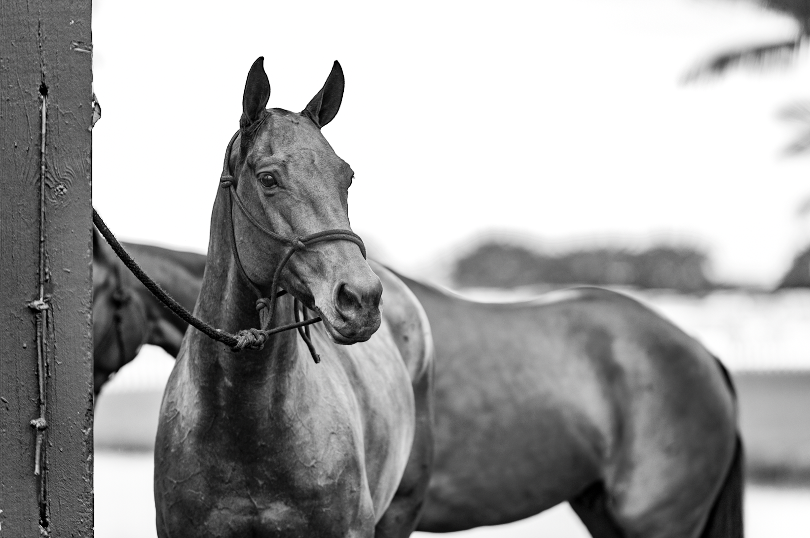 Screen Shot 2016-10-03 at 6.45.48 PM.png